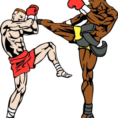 boxerkickmn1 Thumbnail