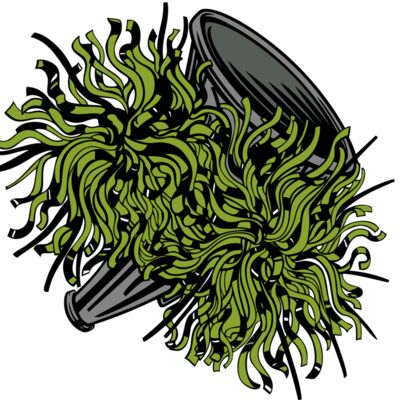 Cheer07V4clr Thumbnail