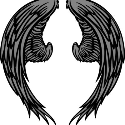 ES3wing06clr Thumbnail