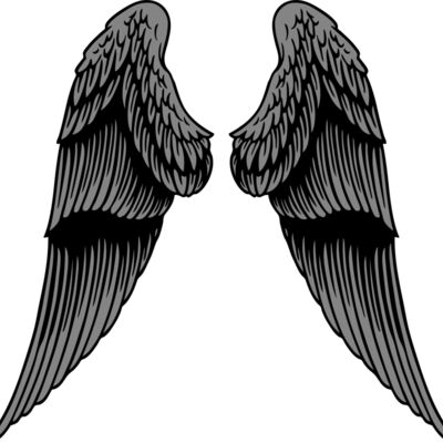 ES2wings031CLR Thumbnail