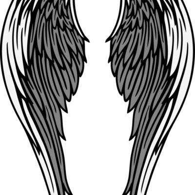 ES2wings018CLR Thumbnail