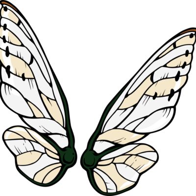 ES3wing04clr Thumbnail