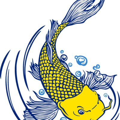 es3asiankoi01clr Thumbnail