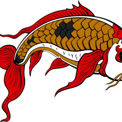 es2asiankoi008clr Thumbnail