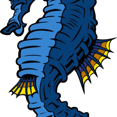 seahorse02 Thumbnail