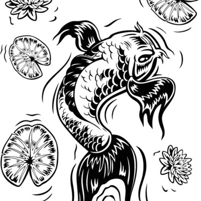 es2asiankoi003bw Thumbnail