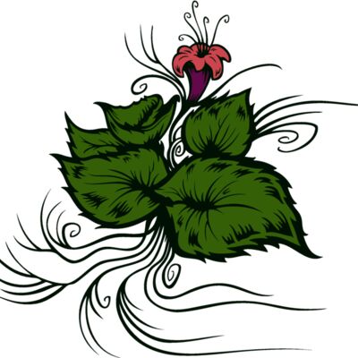 flower and leaves Thumbnail