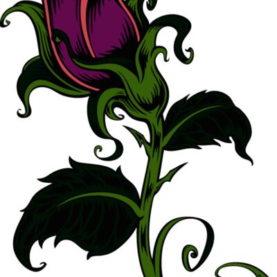 es2rose001clr Thumbnail