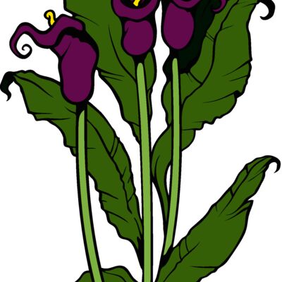 es3flower07clr Thumbnail