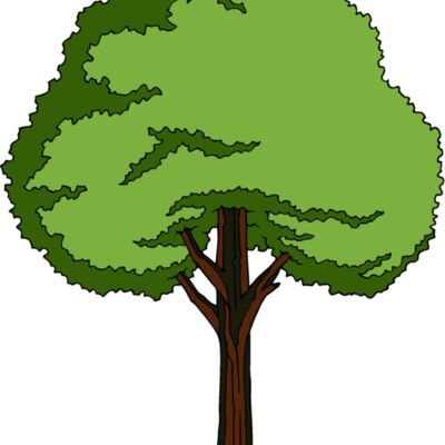 es3tree11clr Thumbnail