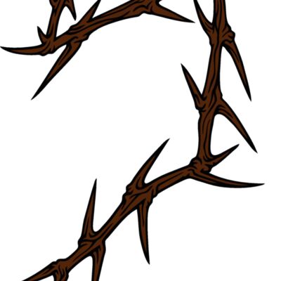 es2thorns006clr Thumbnail