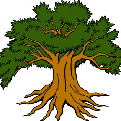 es3tree14clr Thumbnail