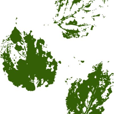 essplat002clr Thumbnail