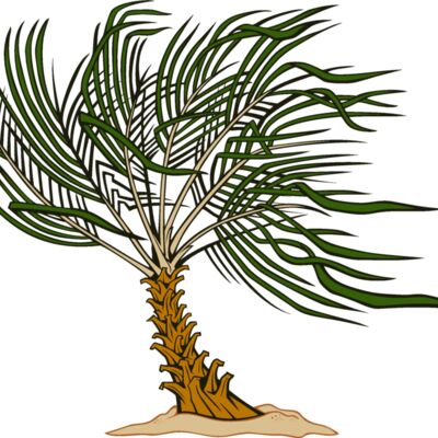 es3tree12clr Thumbnail