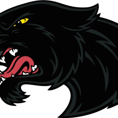 es2panther003clr Thumbnail