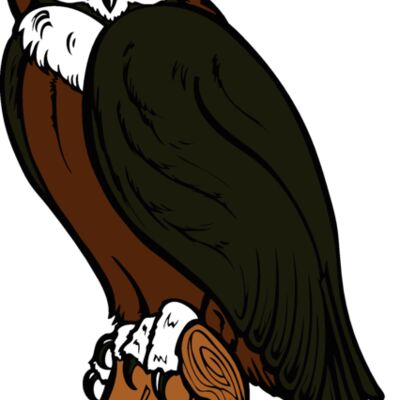 es2owl002clr Thumbnail