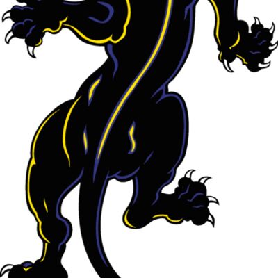 es2panther006clr Thumbnail