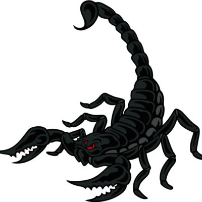 es2scorpion002clr Thumbnail