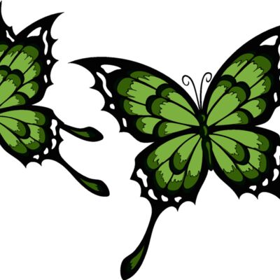 es2butterfly002clr Thumbnail