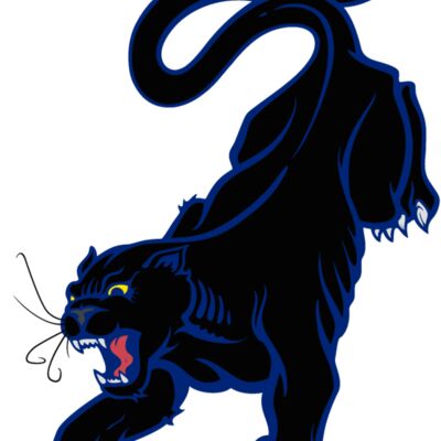 es3panther01clr Thumbnail