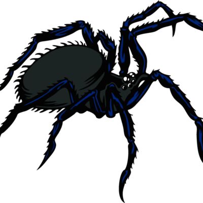 esspider003clr Thumbnail