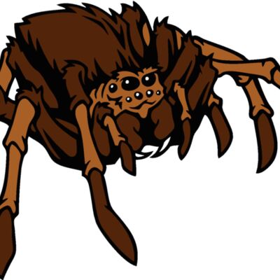 esspider001clr Thumbnail