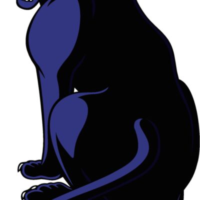 es3panther04clr Thumbnail