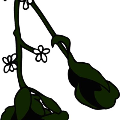 mistletoe2 Thumbnail