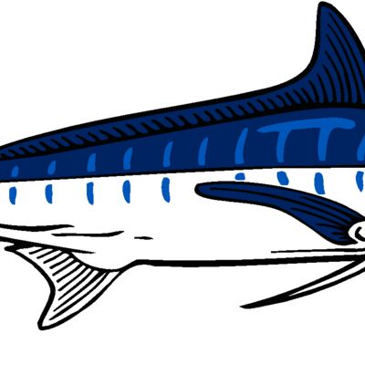 marlin Thumbnail
