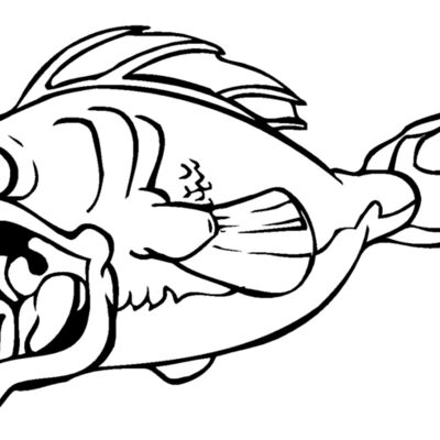 fish2 Thumbnail