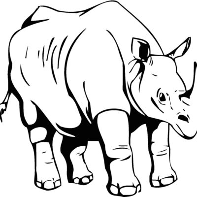 rhino Thumbnail