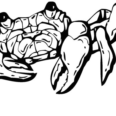 crab 2 Thumbnail