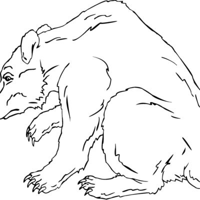 grizzlybear Thumbnail