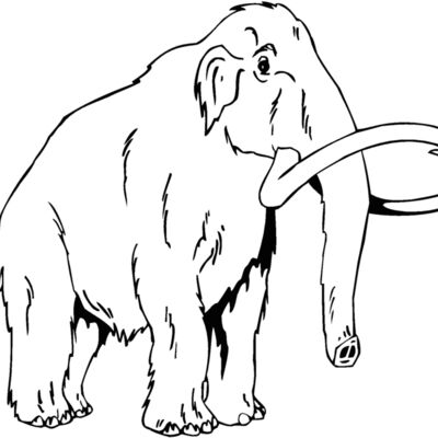 mammoth Thumbnail