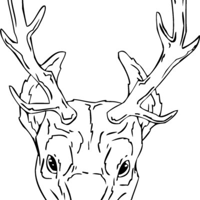 deerhd Thumbnail