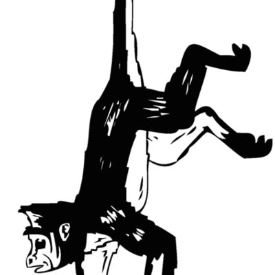 hangingmonkey Thumbnail