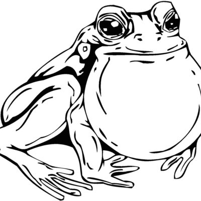 bullfrog Thumbnail