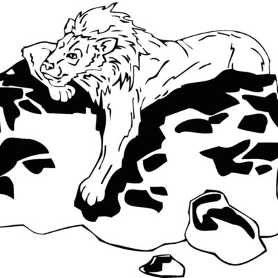lion04 Thumbnail