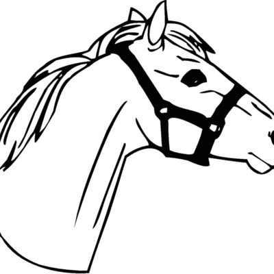 horsehead02 Thumbnail