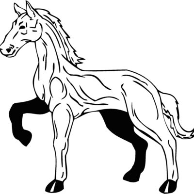 horse3 Thumbnail