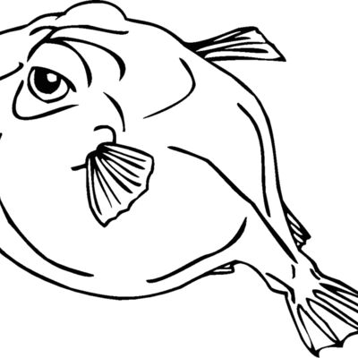 pufferfish Thumbnail