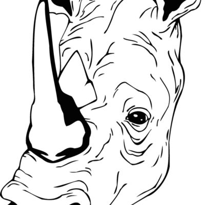 rhinohead05 Thumbnail
