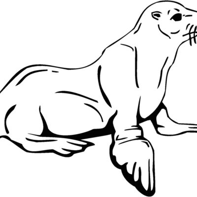 seal Thumbnail