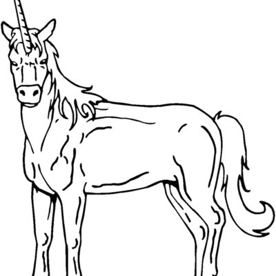 unicorn2 Thumbnail