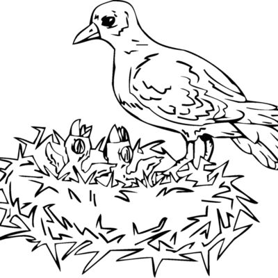 mom w chicks Thumbnail