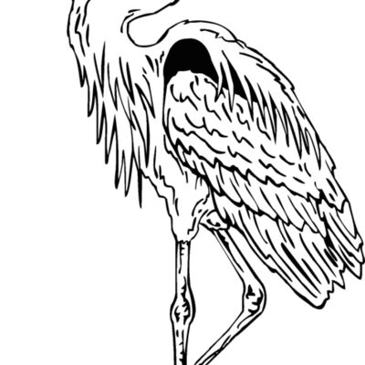 great heron Thumbnail