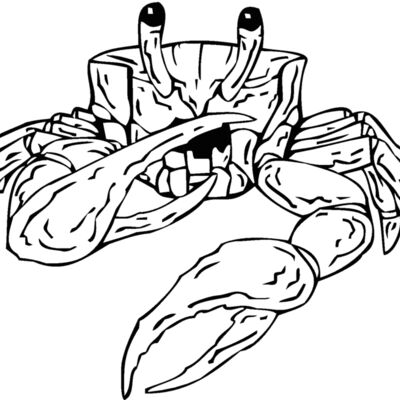 crab 1 Thumbnail