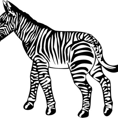 zebra Thumbnail