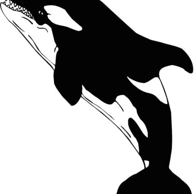 killerwhale01 Thumbnail