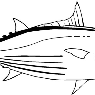 tuna Thumbnail